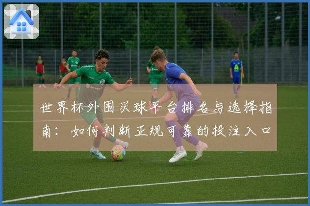 世界杯外围买球平台排名与选择指南：如何判断正规可靠的投注入口