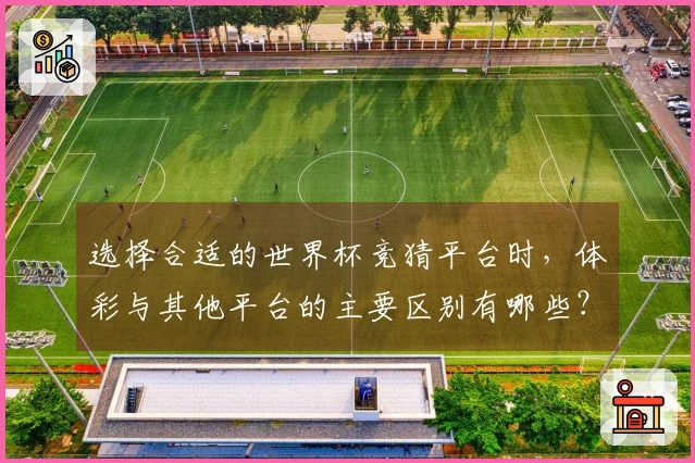 选择合适的世界杯竞猜平台时，体彩与其他平台的主要区别有哪些？