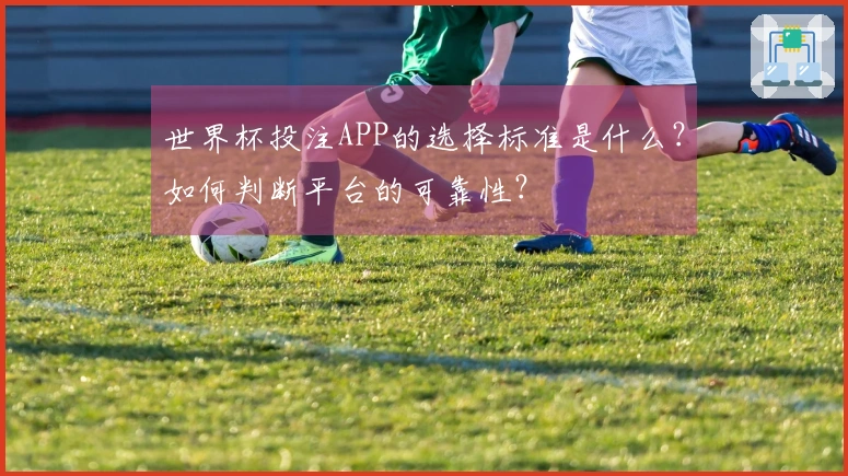 世界杯投注APP的选择标准是什么？如何判断平台的可靠性？