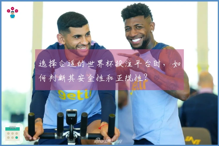 选择合适的世界杯投注平台时，如何判断其安全性和正规性？