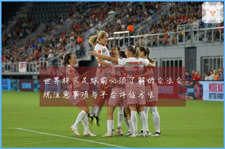 世界杯买足球前必须了解的合法合规注意事项与平台评估方法
