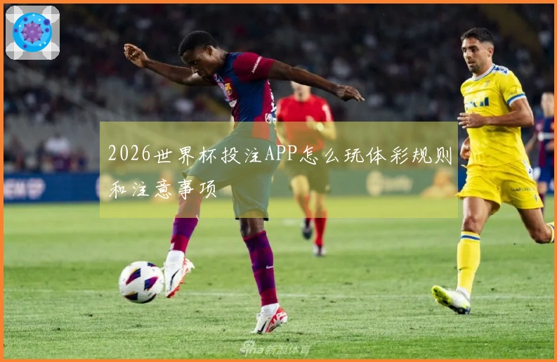 2026世界杯投注APP怎么玩体彩规则和注意事项