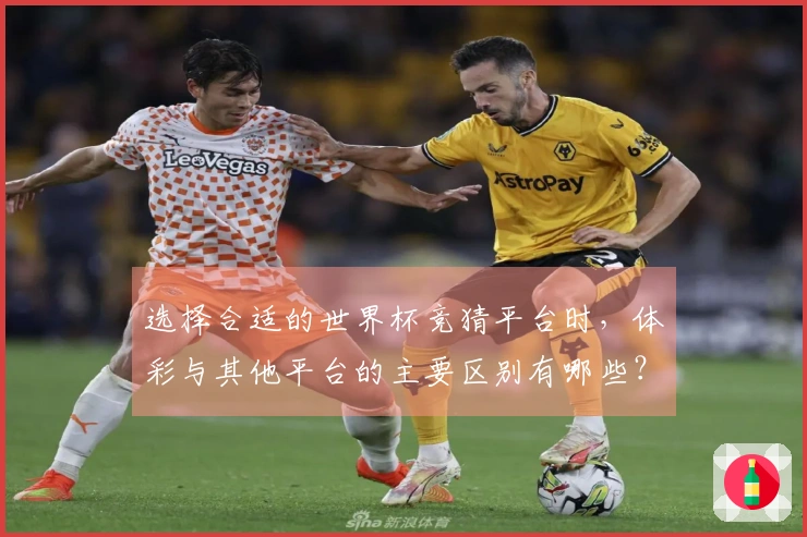 选择合适的世界杯竞猜平台时，体彩与其他平台的主要区别有哪些？