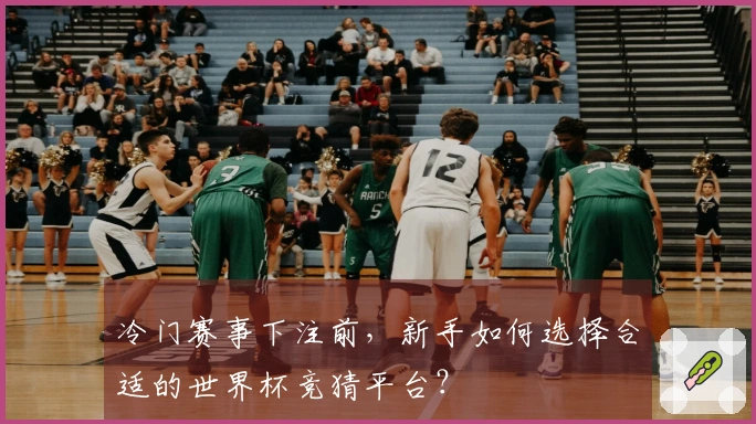 冷门赛事下注前，新手如何选择合适的世界杯竞猜平台？
