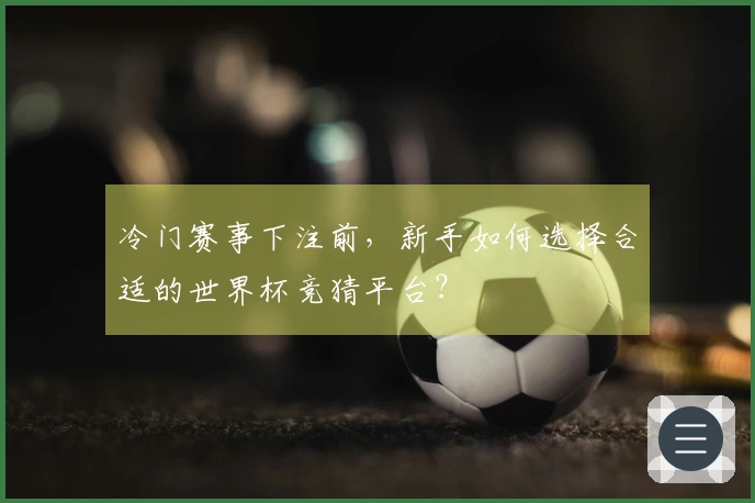 冷门赛事下注前，新手如何选择合适的世界杯竞猜平台？